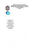 EXPOSICION DE PAVIMENTOS