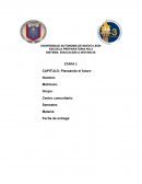 Planeando el futuro. Elementos de competencia