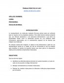 TRABAJO PRÁCTICO N°1-2017 MODELOS MOLECULARES