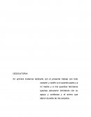 Apicultura. Demostrar la crianza de abejas a la comunidad educativa sobre la apicultura