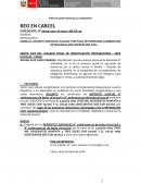 Deposito judicial por pago de pensiones alimenticias devengadas mas reperacion civil