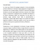 REPORTE DE LABORATORIO POLIURETANO