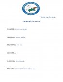 PRODUCCIÓN DE TEXTOS. TEXTO DEL TIPO ''PROBLEMA SOLUCION''