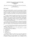 Hábitos de vida saludable en adultos mayores