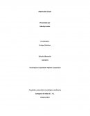 Tecnología en seguridad e higiene ocupacional