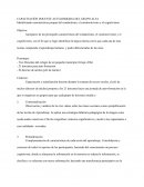 CAPACITACIÓN DOCENTE AUTO-DIRIGIDA DEL GRUPO ALFA