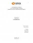 CASO UST E-MARKETING