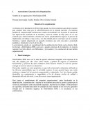 Informe Diagnostico y Propuesta de Intervencion - Distribuidora RDK