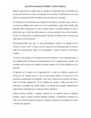 Economia Utilitarista