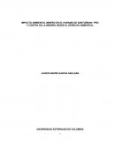 Impacto ambiental minero en el paramo de Santurban