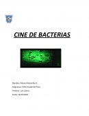 Cine de bacterias