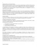 ORGANIZACIÓN DE LA ESTRUCTURA VERTICAL.