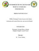 Distemper Canino en perros de clínicas veterinarias del cantón Portoviejo, provincia de Manabí