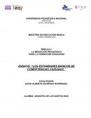 Los estandares básicos de competencias ciudadanas