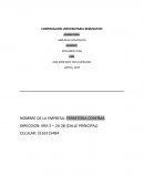 GERENCIA ESTRATEGICA. CULTURA ORGANIZACIONAL