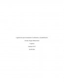 Logística de aprovisionamiento: la obtención y la planificación