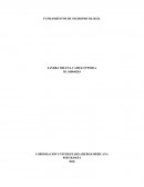 FUNDAMIENTOS DE NEUROPSICOLOGÍA