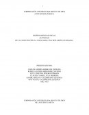 DE LA CONSTITUCIÓN A LA REALIDAD, UNA REFLEXIÓN CIUDADANA