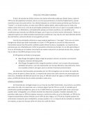 Virus del Papiloma Humano