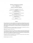 Informe de PAVIMENTOS