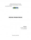 MEDIOS PROBATORIOS