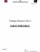 Trabajo Practico Nro 2 “GRAVIMETRIA”