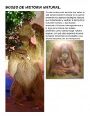 Museo de Historia Natural