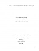 INFORME DE LABORATORIO DIFUSIÓN A TRAVÉS DE MEMBRANAS
