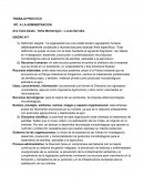 TRABAJO PRÁCTICO INT. A LA ADMINISTRACION