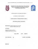 Práctica 9 Determinación de calor desprendido de una reacción química