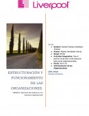 ESTRUCTURA cadena mexicana de almacenes LIVERPOOL