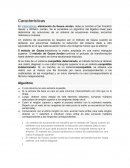 Calculo numérico. Algoritmo