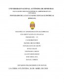 APLICACIÓN DE LAS CARACTERISTICAS DE LAS NIIF EN LOS ESTADOS FINANCIEROS DE “FINANCIERA SOLIDARIA S.A.”