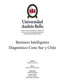 Business Intelligence Diagnóstico Cono Sur y Chile