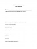 Protocolo test de la figura humana