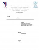 PSICOFISIOLOGIA LA PIEL