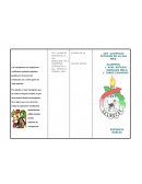 PRODUCTOS TRANSGENICOS