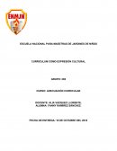 CURRICULUM COMO EXPRESIÓN CULTURAL