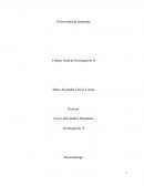 Trabajo Final de Investigación II
