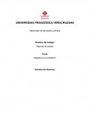 Docencia en educación primaria