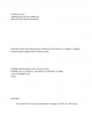 Proyecto de titulo Investigación del proceso de contratación según el código laboral chileno para migrantes venezolanos 2018