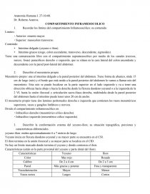 Anatomía Humana COMPARTIMIENTO INFRAMESOCOLICO. Página 1