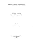 DIAGNOSTICO Y PLANEACIÓN DEL TALENTO HUMANO