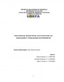 EFECTIVIDAD DEL SEGURO SOCIAL FACULTATIVO PARA LOS TRABAJADORES Y TRABAJADORAS NO DEPENDIENTES