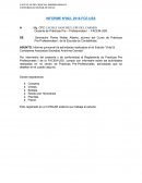 Informe quincenal de actividades
