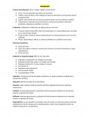 Factores de producción: tierra, trabajo, capital y conocimiento