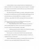 La policia cibernética y sus funciones