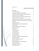 Conceptos Juicio de Amparo