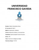 Organización y Métodos. Teoría de la inteligencia múltiple