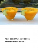 Beer Citrus. Aplicado en el lienzo del modelo, Canvas
